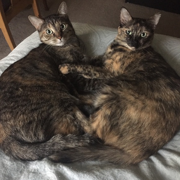 Meet your Posher, Claire - Picture 3 of 8